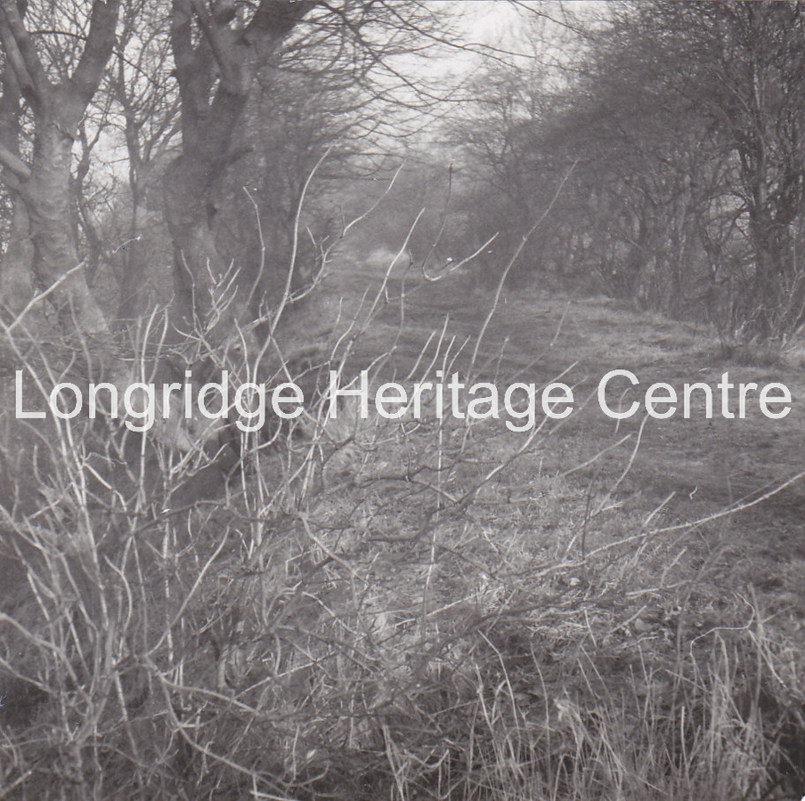 357B - Railway - Bottom line Trackbed nr Billingtons Farm - 1966